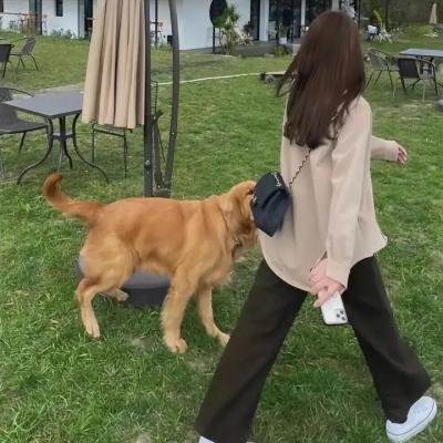 长腿叔叔